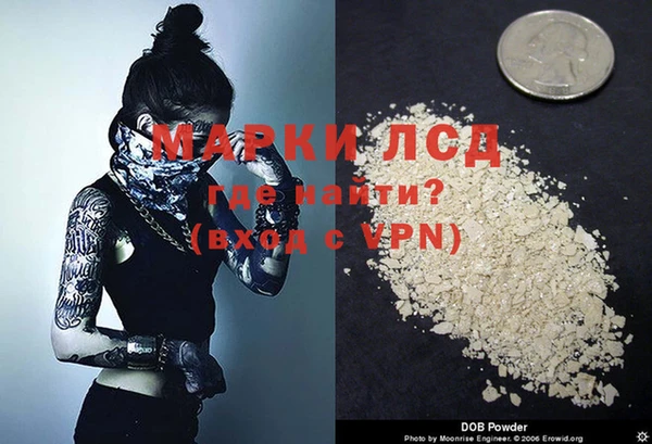 дживик Няндома