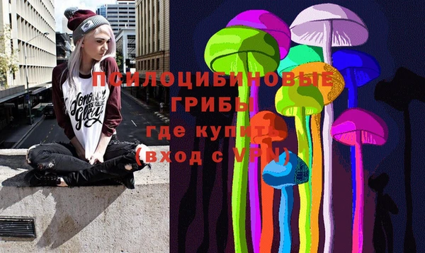 СК Алзамай