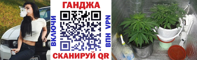 купить  сайты  Сухой Лог  Бошки марихуана Ganja 